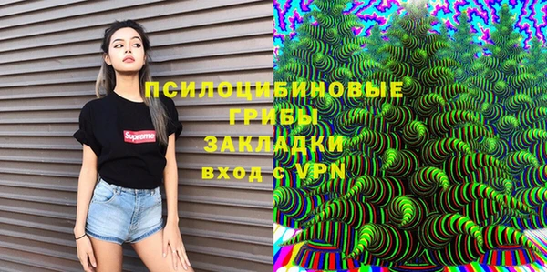 бошки Алексеевка