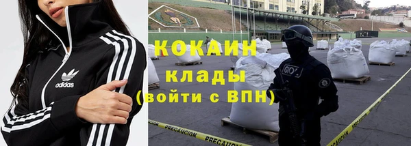 крисы Алзамай
