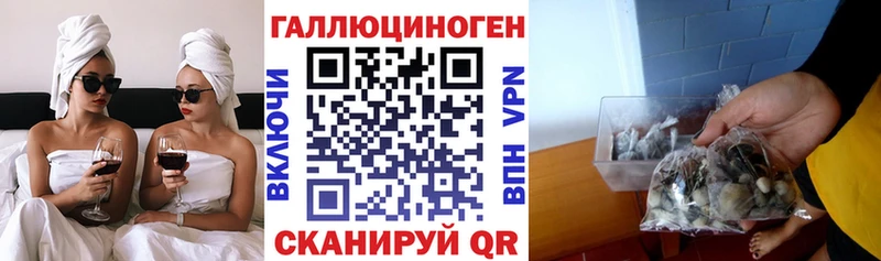 Псилоцибиновые грибы GOLDEN TEACHER  Пучеж 